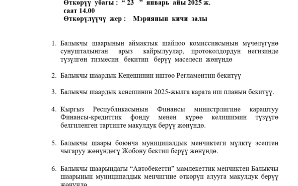 Сессия Балыкчинского городского кенеша