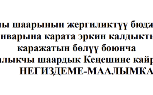 Бюджет эркин алдык Кенешке Негиздеме